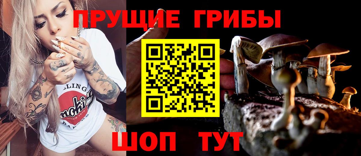 Оренбург  Псилоцибиновые грибы мухоморы  Вход с VPN  Галлюциногенные грибы Psilocybine cubensis 
